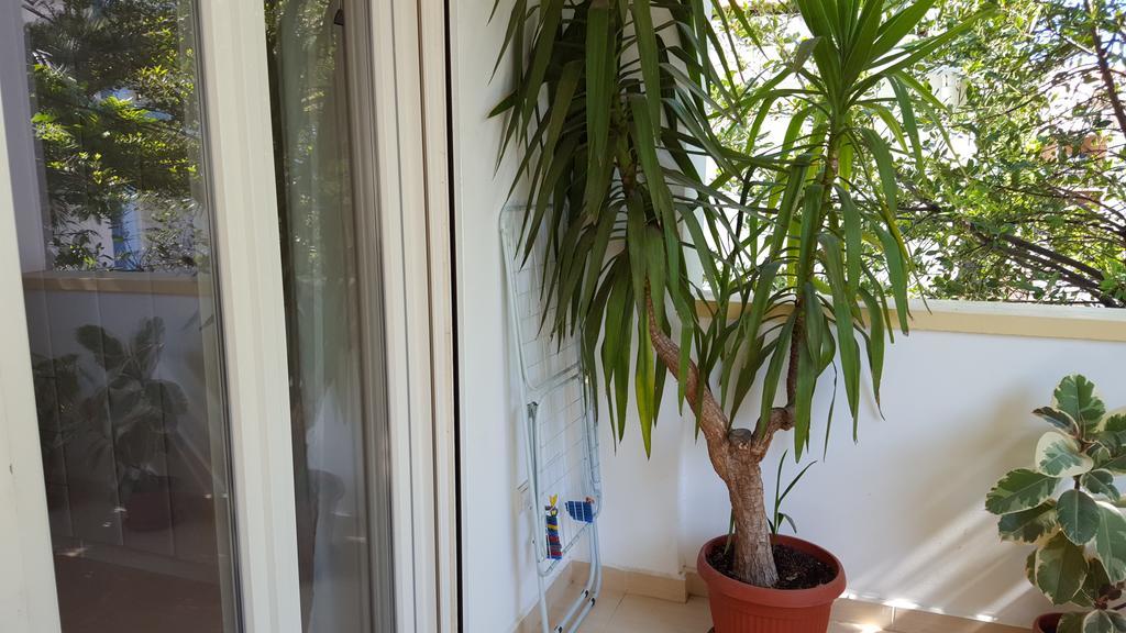 Apartman Magnolia