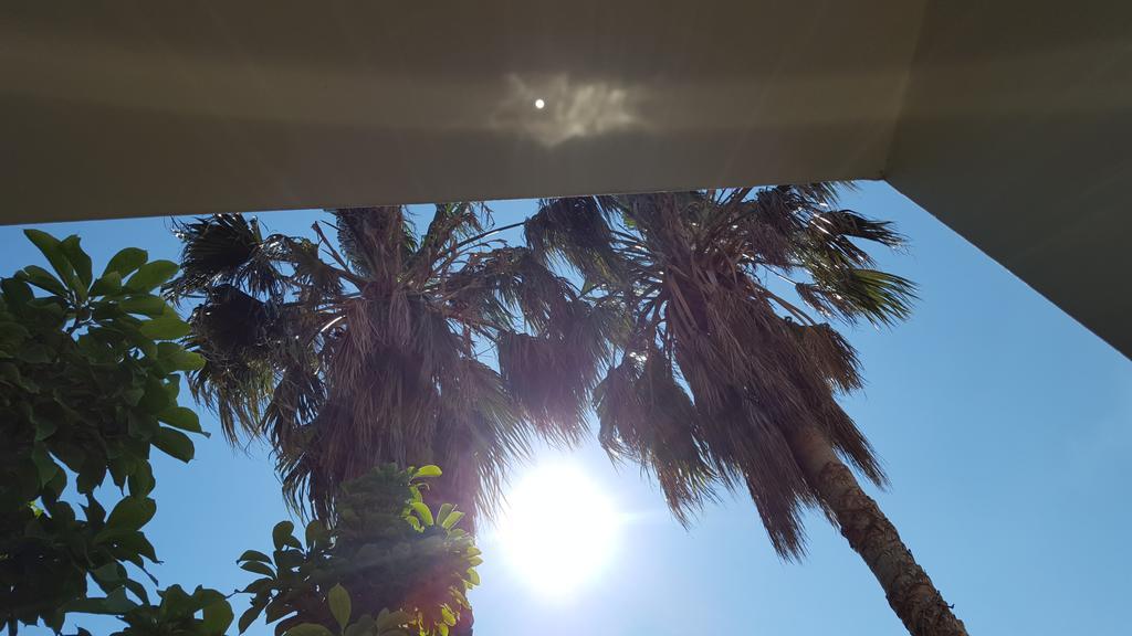 Apartman Magnolia Budva